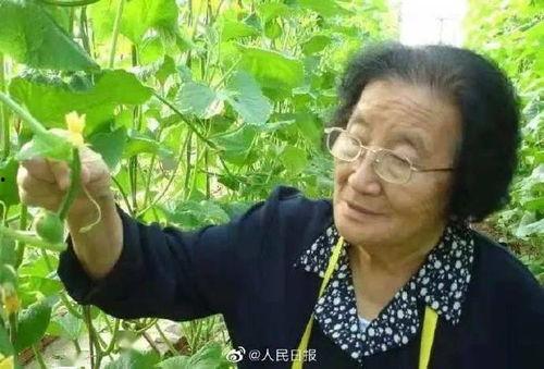 吃瓜前线第一人 潜规则二血泪代言,揭秘“吃瓜前线第一人”背后的辛酸历程