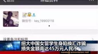 独家爆料官网,揭秘幕后真相，一探究竟！